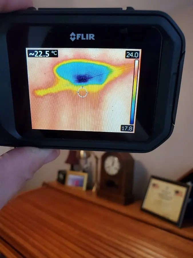 Thermal imaging inspection for water damage in Milton